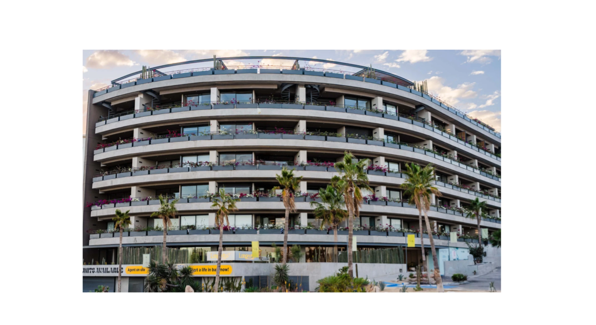 9 Proven Reasons the Number 1 Stem Cell Clinic in Cabo Leads the Future of Regenerative Medicine