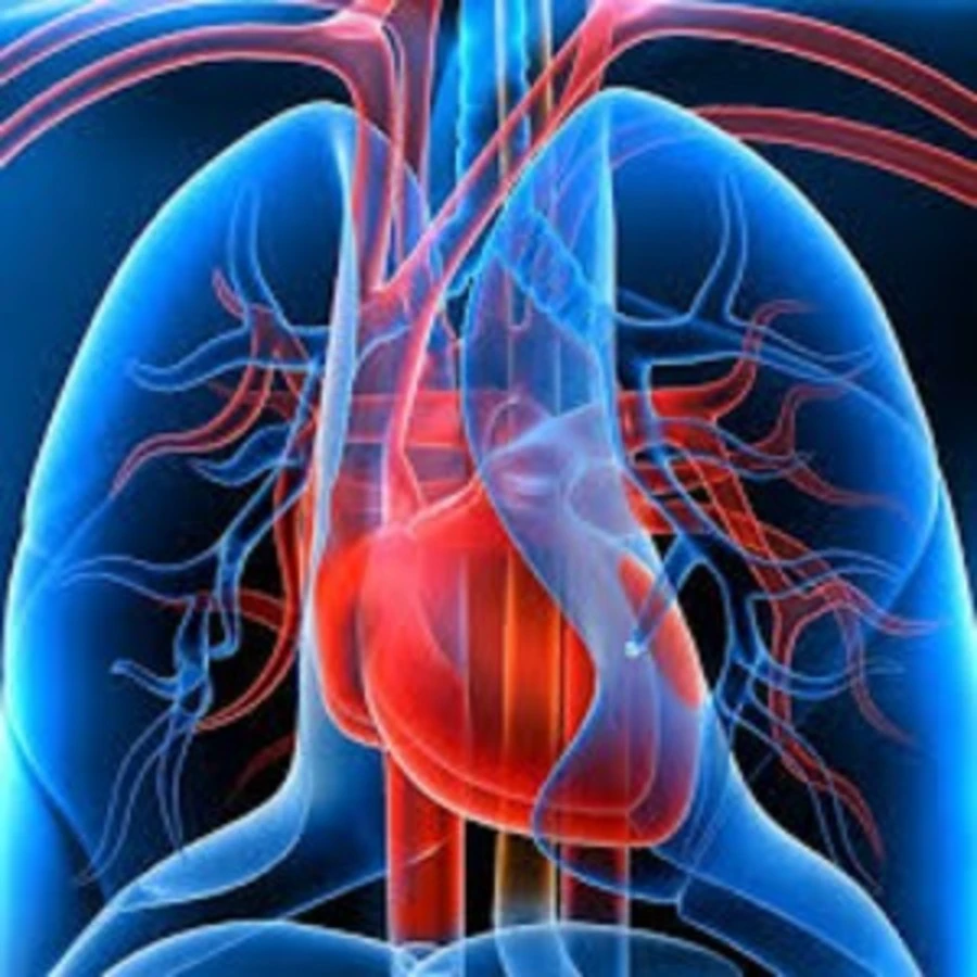 Excellence in Cardiothoracic Surgery: Advancing Safe and Reliable Heart Treatment