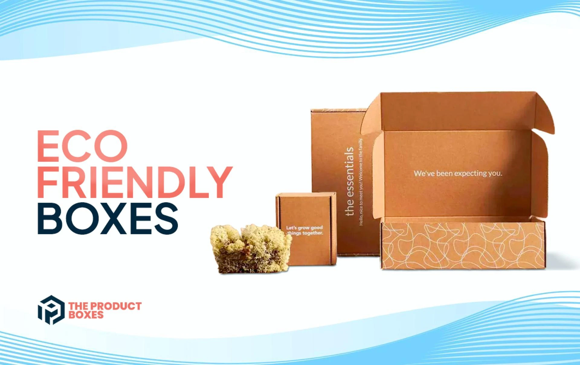 Eco-Friendly Boxes: A Smarter and Greener Choice for Modern Brands