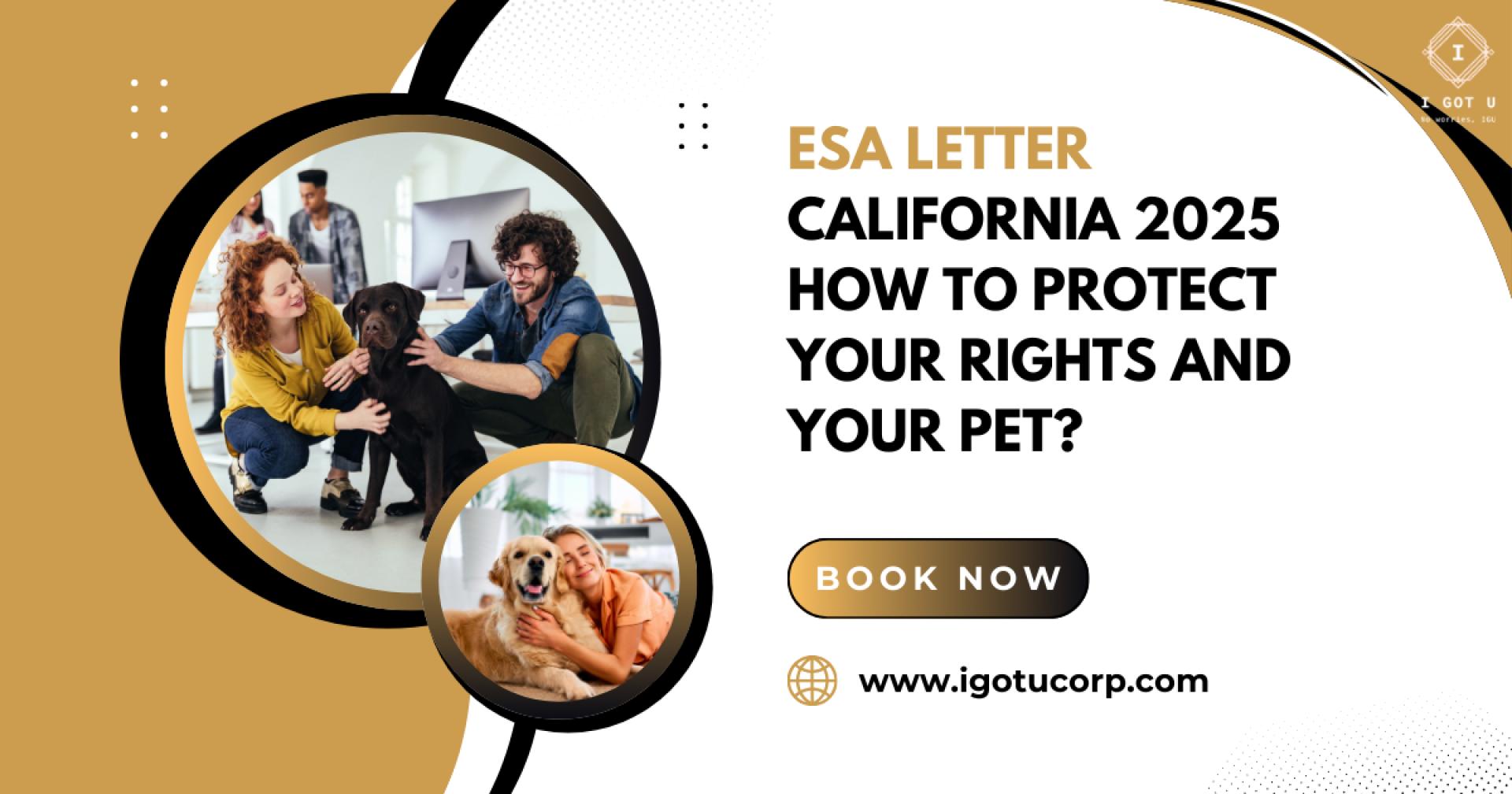 ESA Letter California: Everything You Need to Know to Qualify