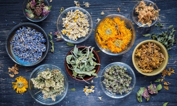 Herbal Wellness Products for a Healthier, More Natural Lifestyle