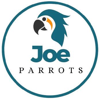 Draft: What to Expect During the Parrot Adoption Process