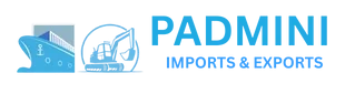 Padmini Overseas: How a Bentonite Supplement Can Support Your Immune System