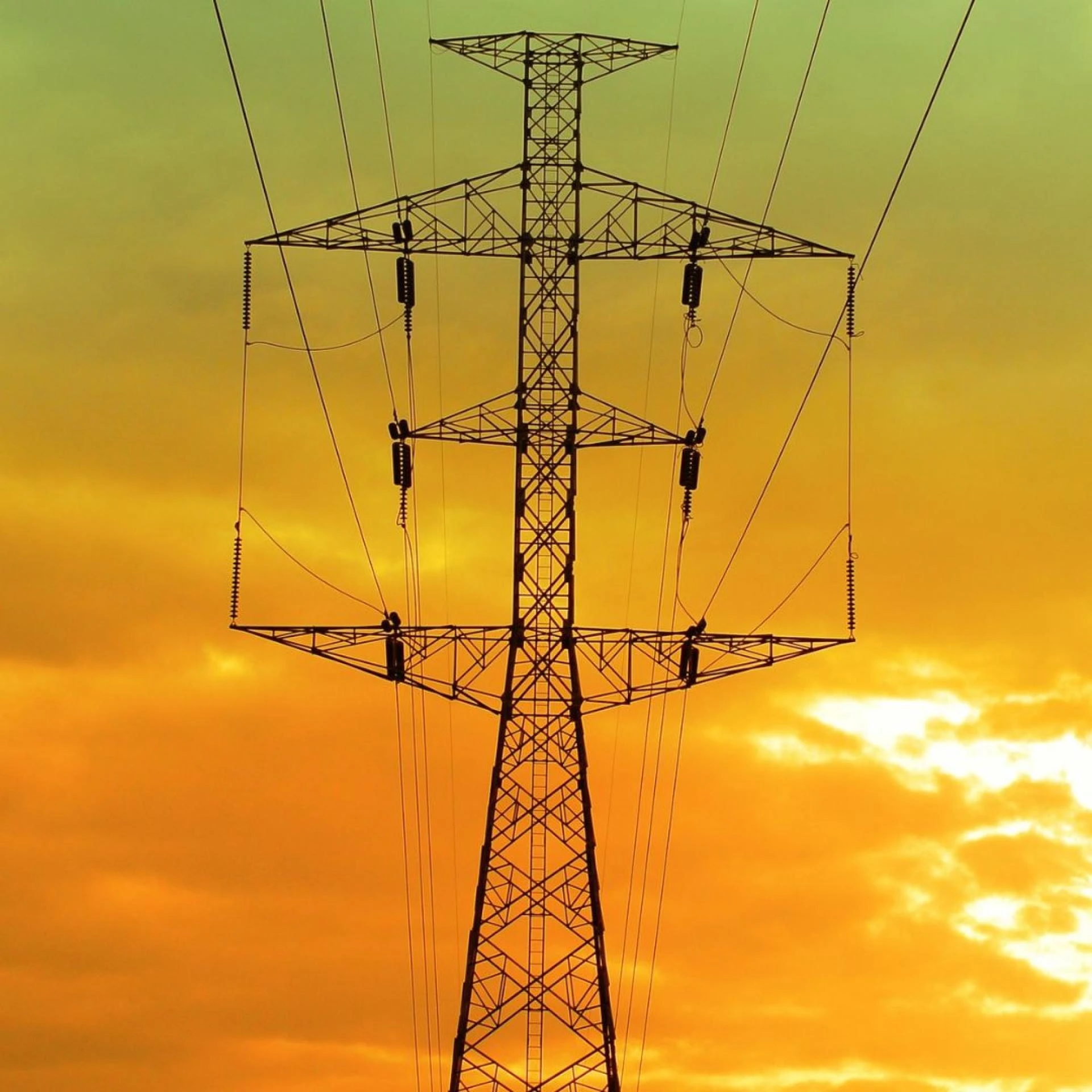 What Is a Pad-Mount Distribution Transformer? A Guide For Beginners 