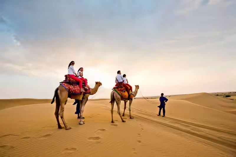 Ride Through Sand Dunes on a Classic Desert Journey