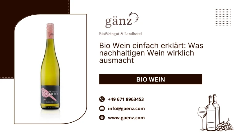 Bio Wein einfach erklärt: Was nachhaltigen Wein wirklich ausmacht 🍷🌱