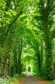 Building a Sustainable Lifestyle at Home: Small Choices That Create Lasting Change