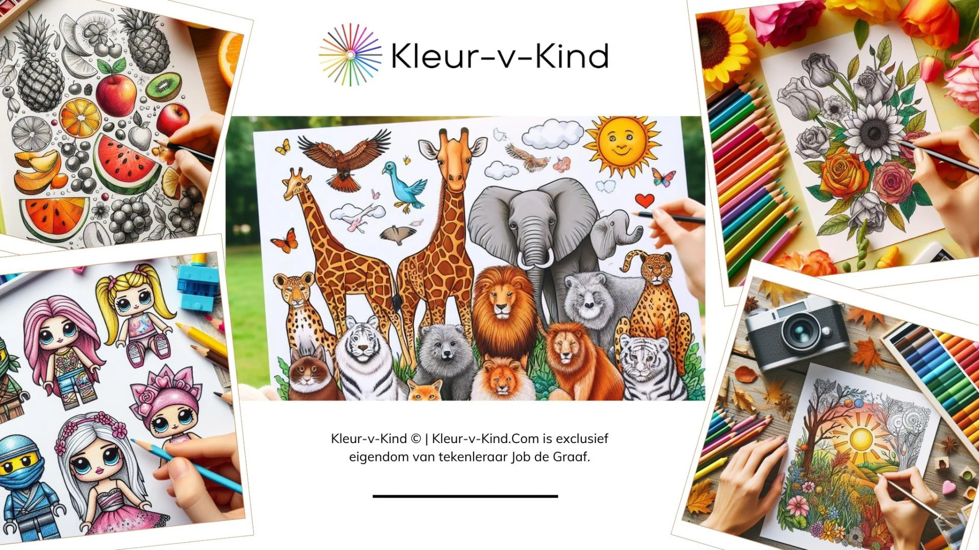 Waar kleuren en fantasie samenkomen