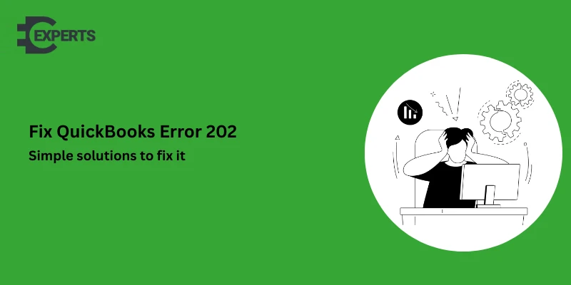 QuickBooks Error 202: Causes, Symptoms, and Complete Troubleshooting Guide