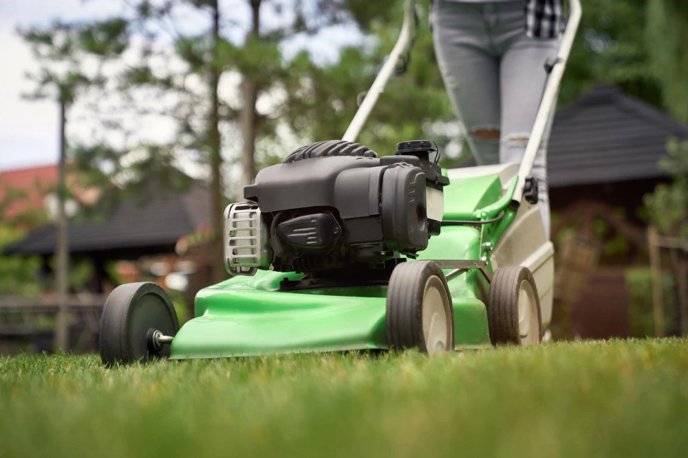 How Often Should Lawn Maintenance Be Done in White Plains Climate?