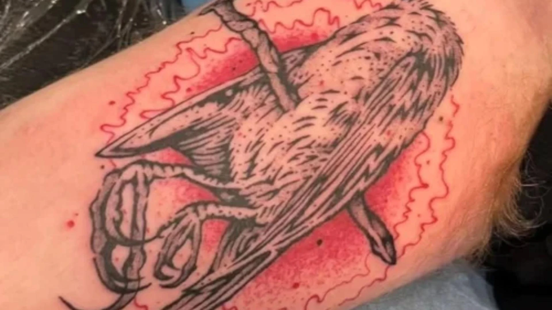 Why are Tattoo Artists in Olympia Known for Clean Fineline Tattoo Work?