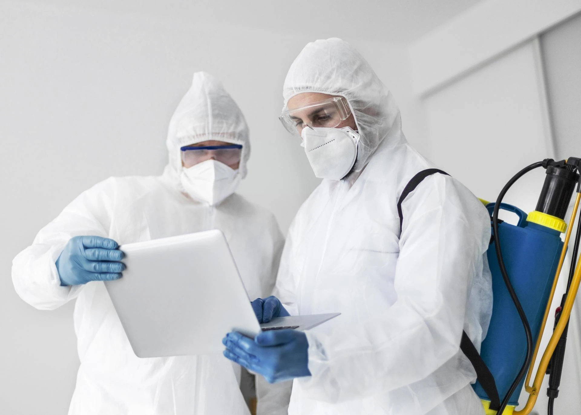 Comprehensive Mold Solutions Home Services Indiana: Protecting Your Home and Health