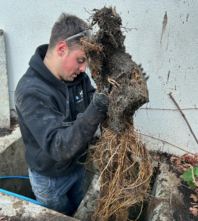 How Proactive Plumbing Care Protects Melbourne Properties Year-Round
