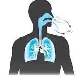 Lung Physician: Expert Medical Care for Lung and Breathing Conditions