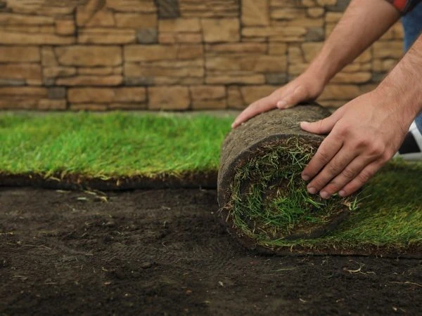 From Bare Soil to Green Beauty With Sod Installation