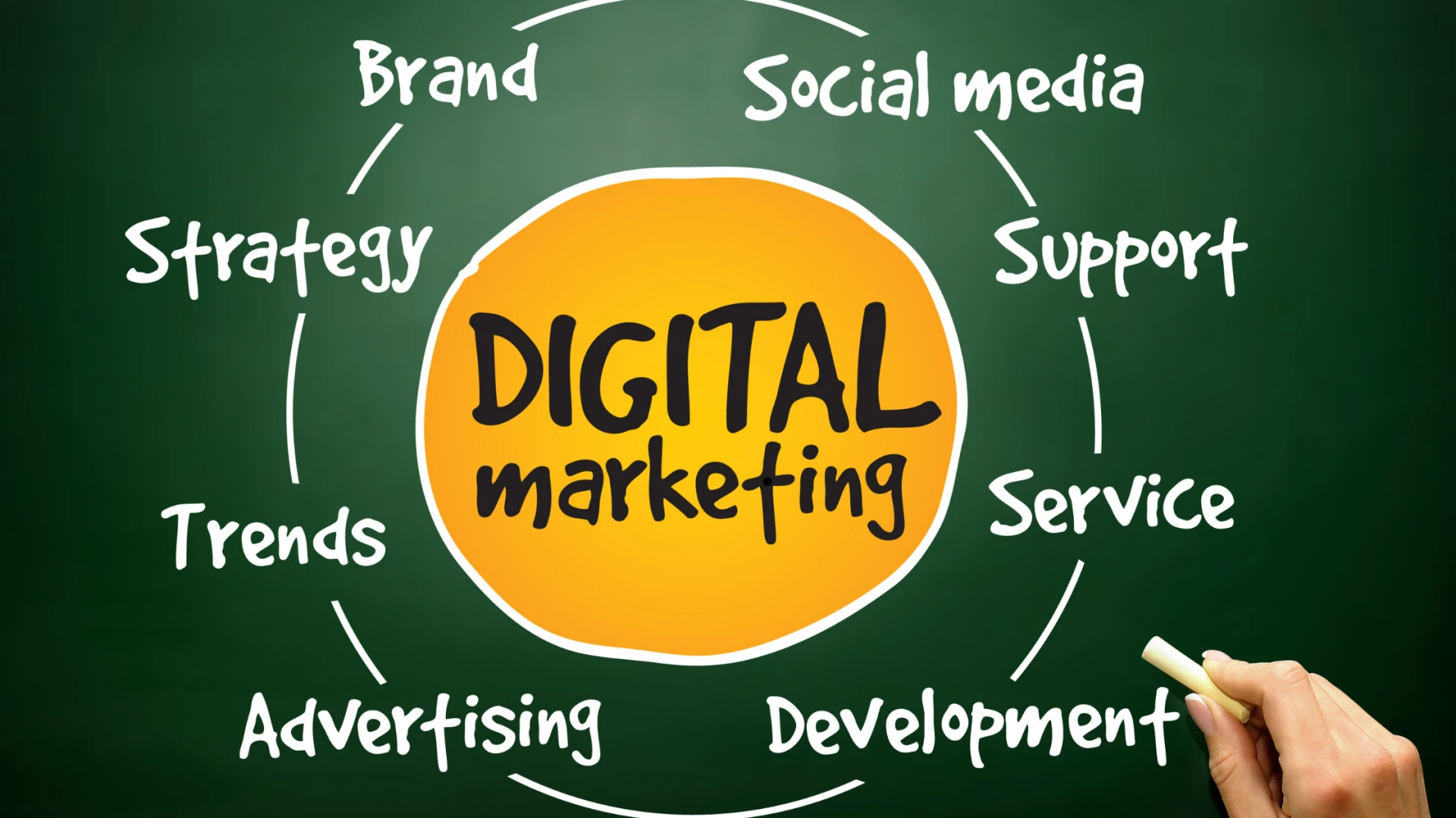 The Role of a Digital Marketing Agency in Arlington in Building Brand Authority