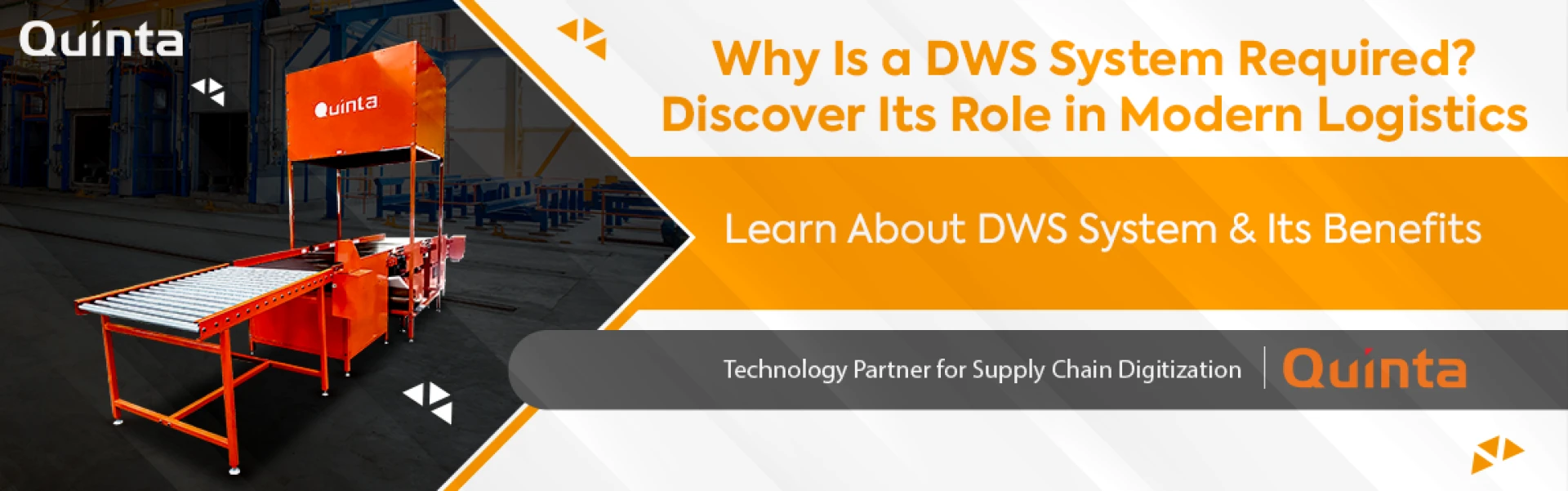 Why Is a DWS System Required? Discover Its Role in Modern Logistics
