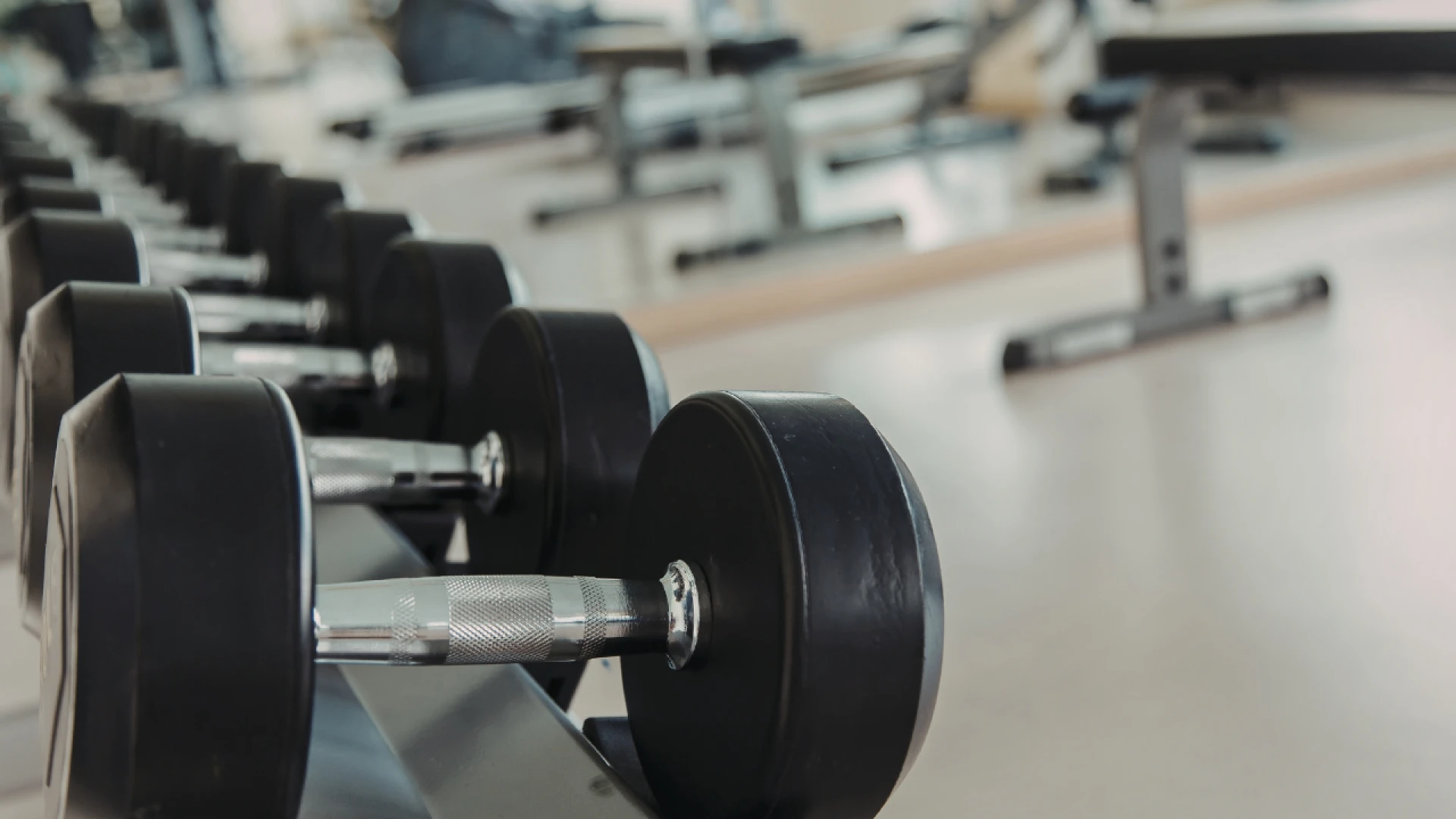 Gym Exercise Equipment That Supports Strength and Cardio