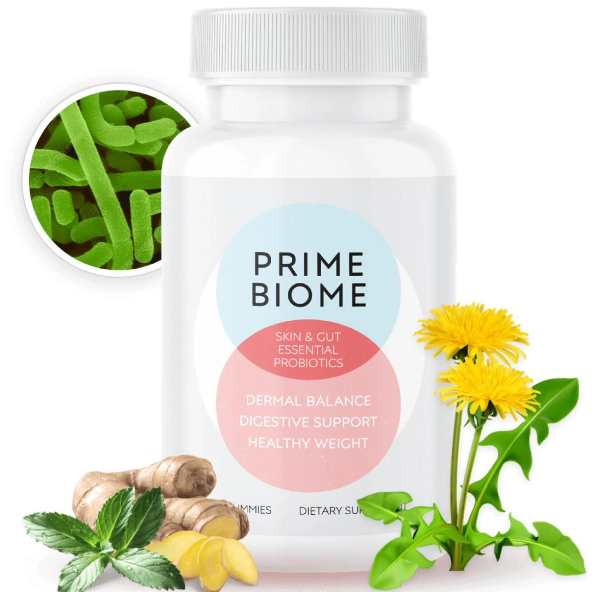 Keeping Blood Sugar Stable: Essential Strategies for Everyday Wellness