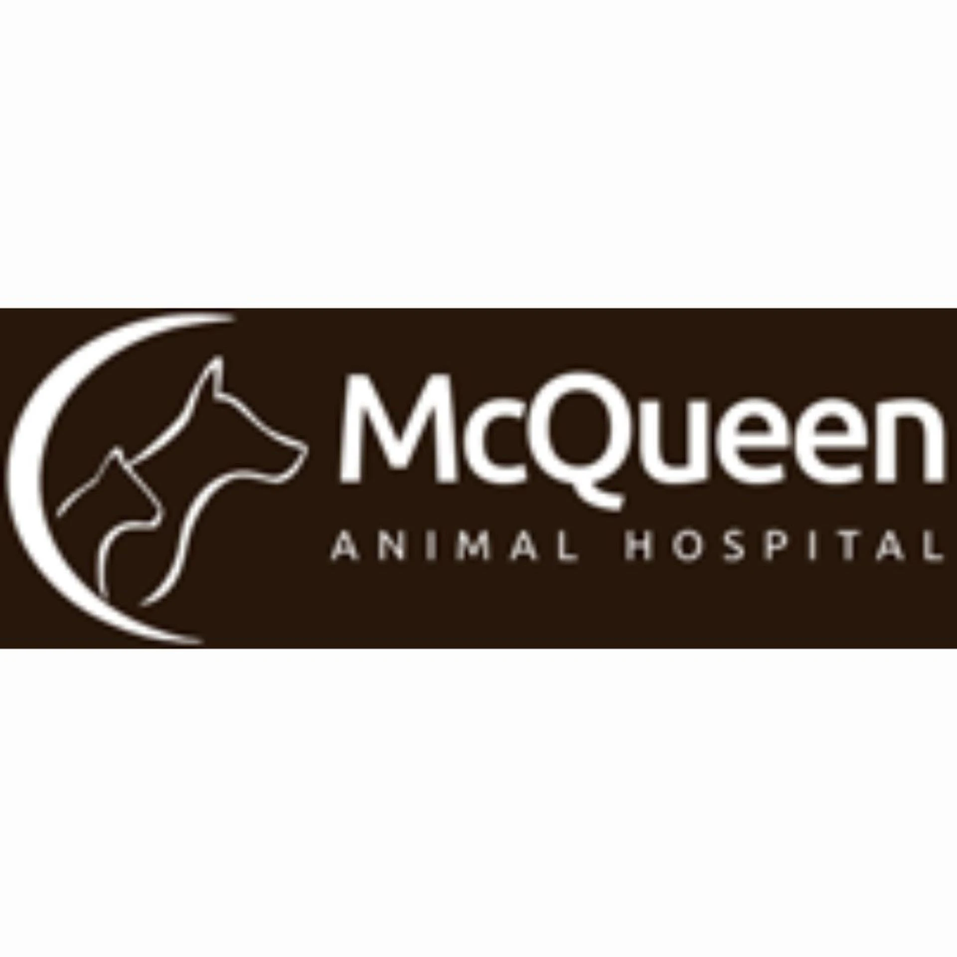 Your Local Guide to Veterinary Ultrasonography George Town