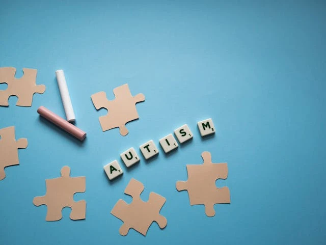 Understanding Autism Spectrum Disorders from a Neurological Perspective