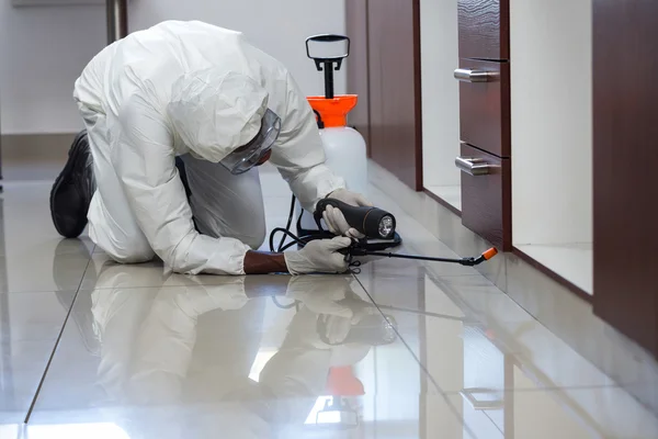 5 Common Rodent Problems Solved by Rodent Control Services