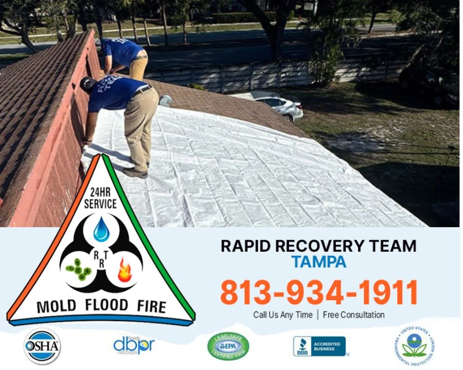 5 Mistakes to Avoid During Roof Leak Repair in Tampa