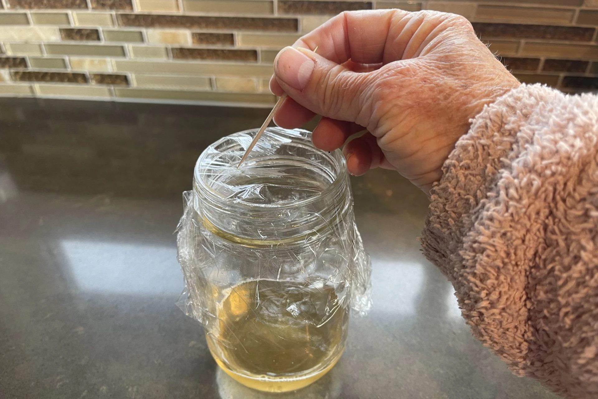 How to Get Rid of Fruit Flies: Solutions for Bath’s Kitchens and Cafes