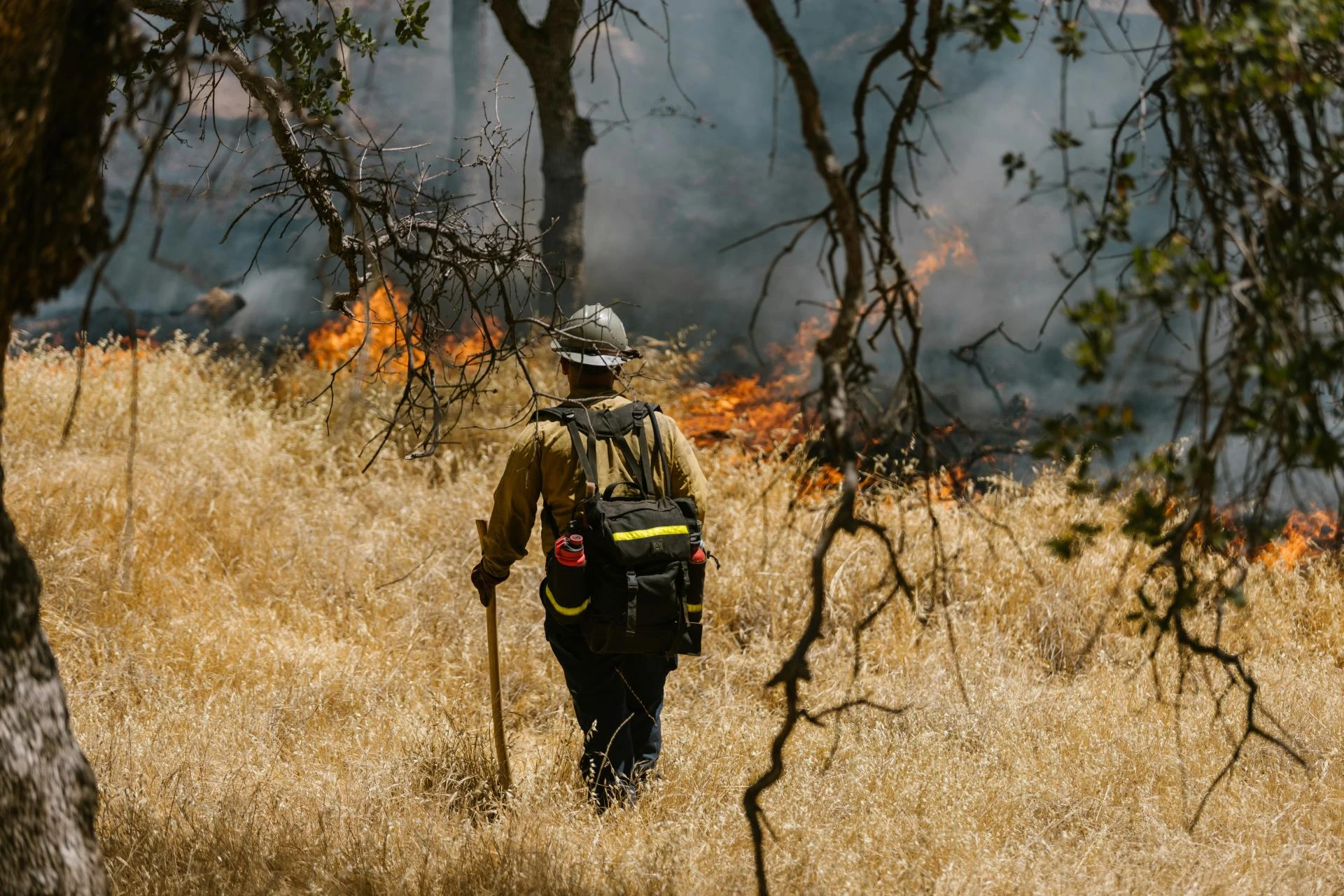 Fire Watch Guards: Stories of Vigilance That Save Lives