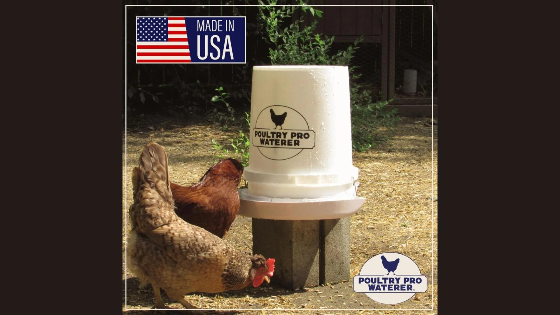 How a Bucket Chicken Waterer Transforms Your Coop Routine