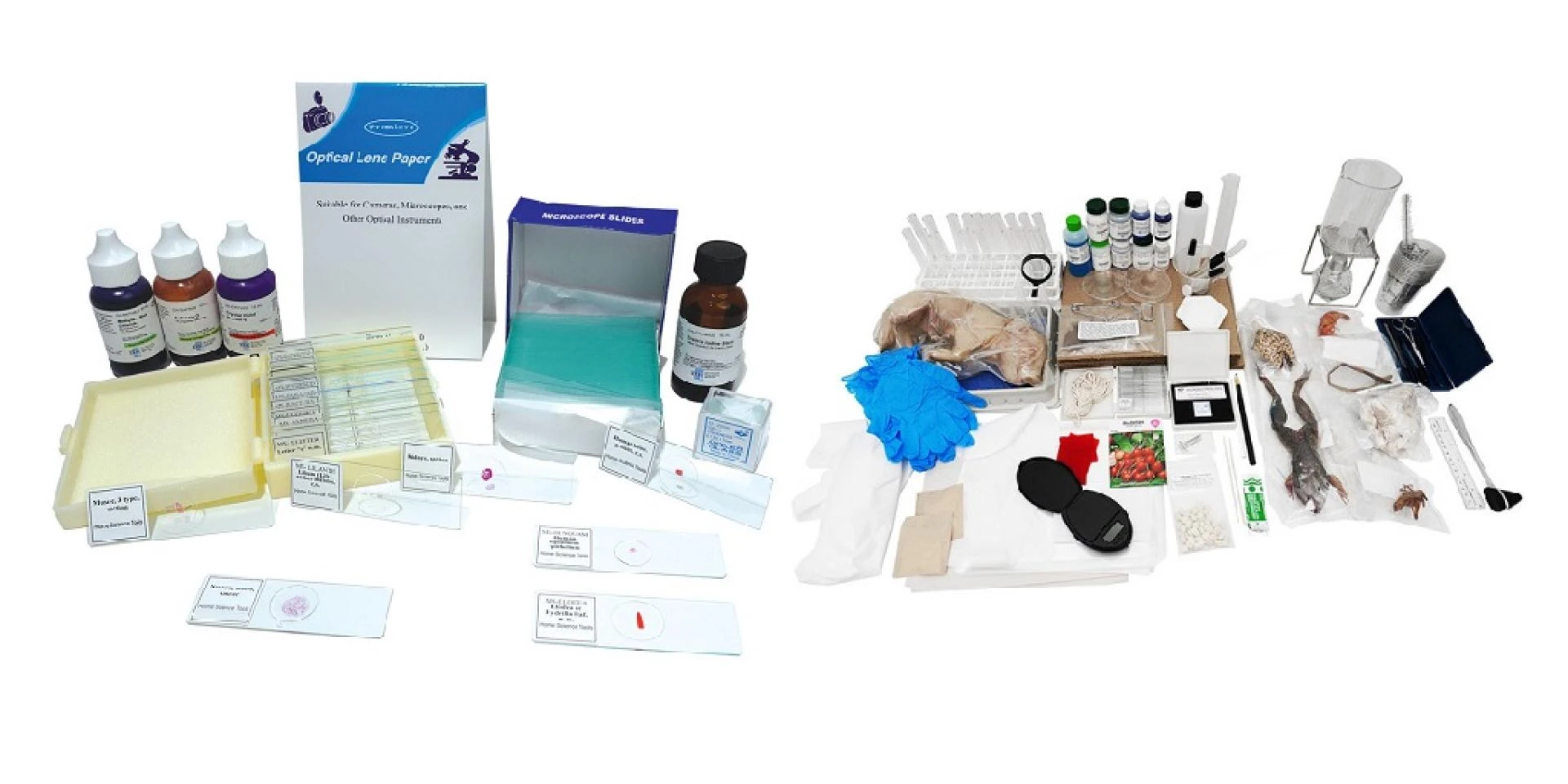 A Modern Homeschool Biology Curriculum Guide