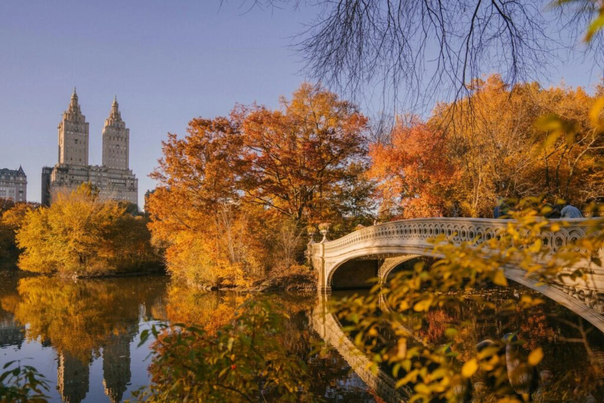 Why Should You Experience a Central Park Horse Carriage Ride in New York City?