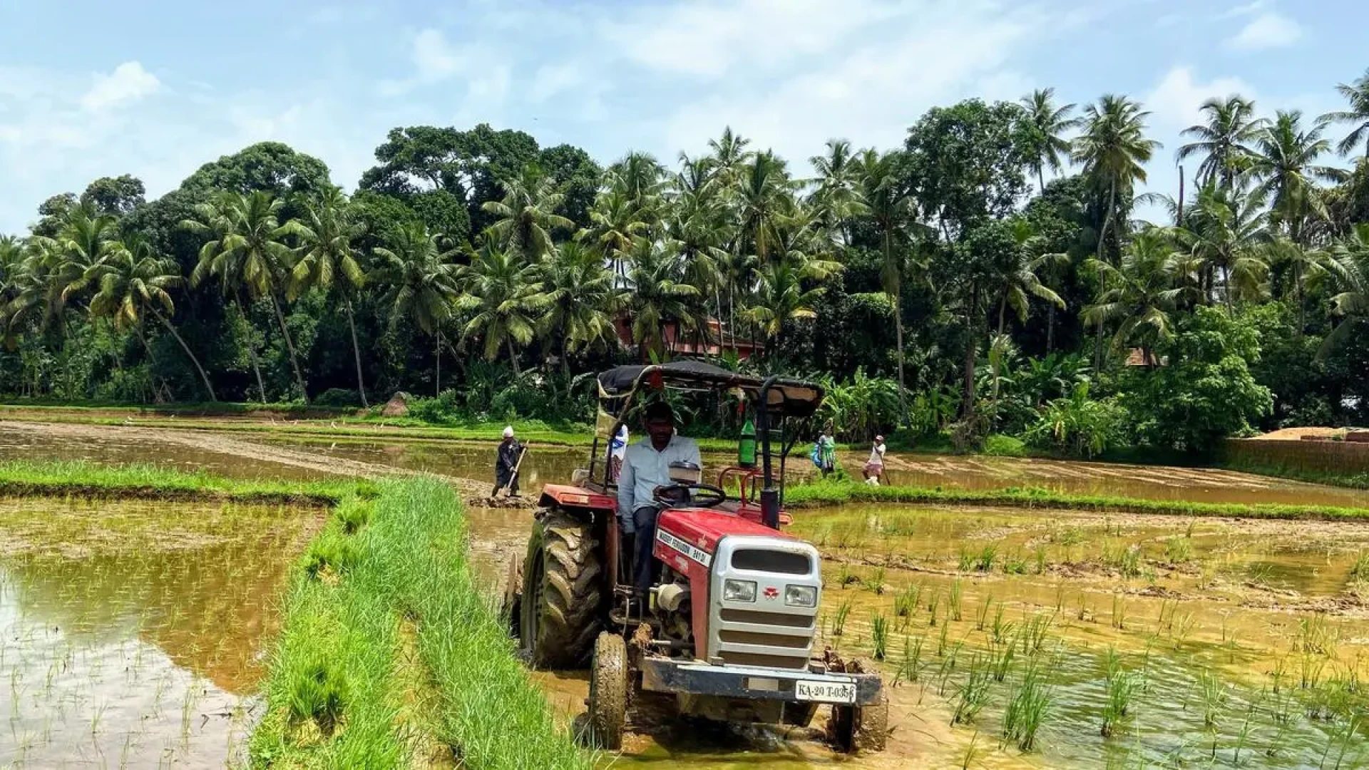 Record Tractor Sales in 2025 and What’s Next for 2026