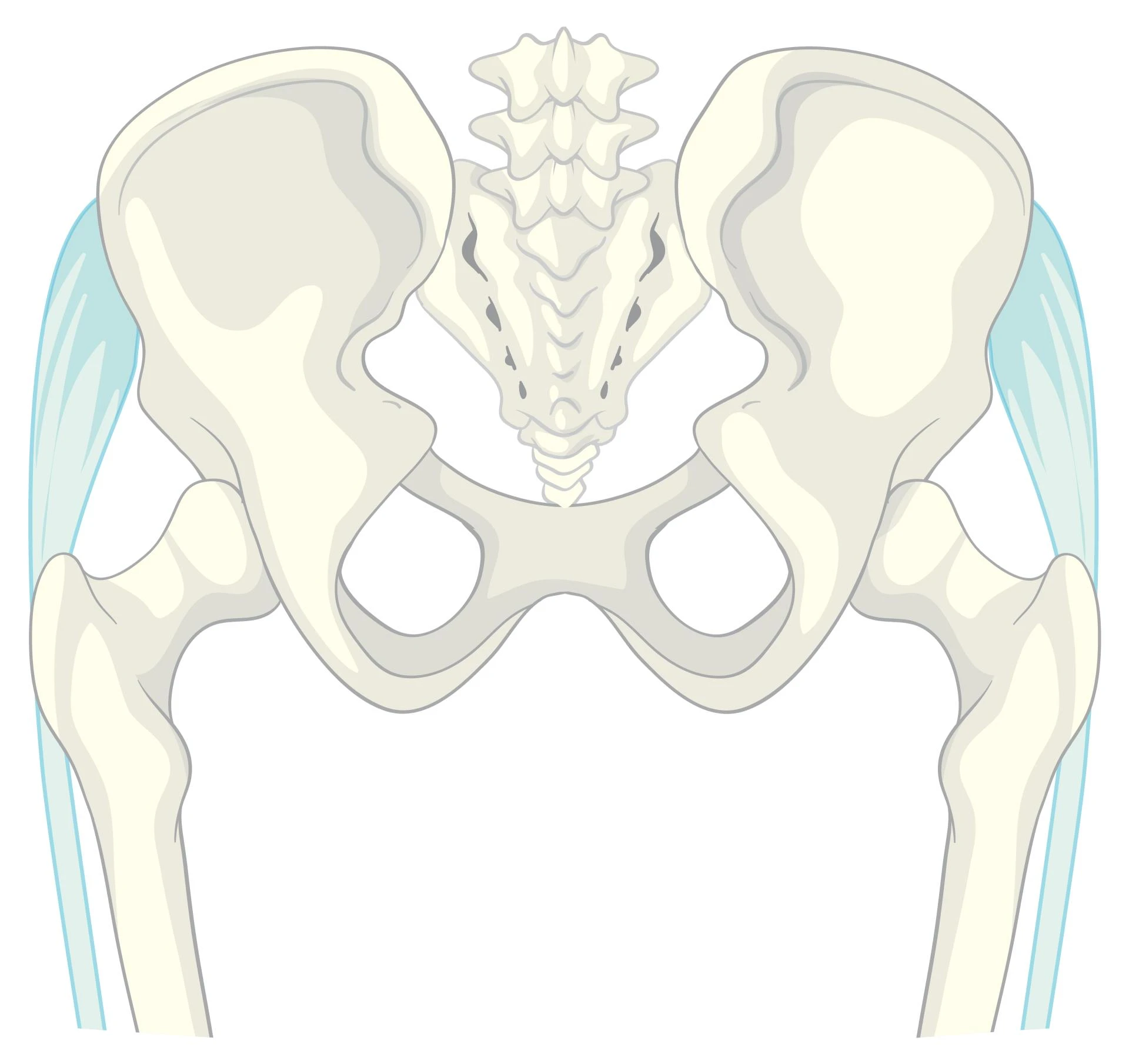 Hip Replacement Surgery Explained: Benefits, Success Rate, and Potential Complications