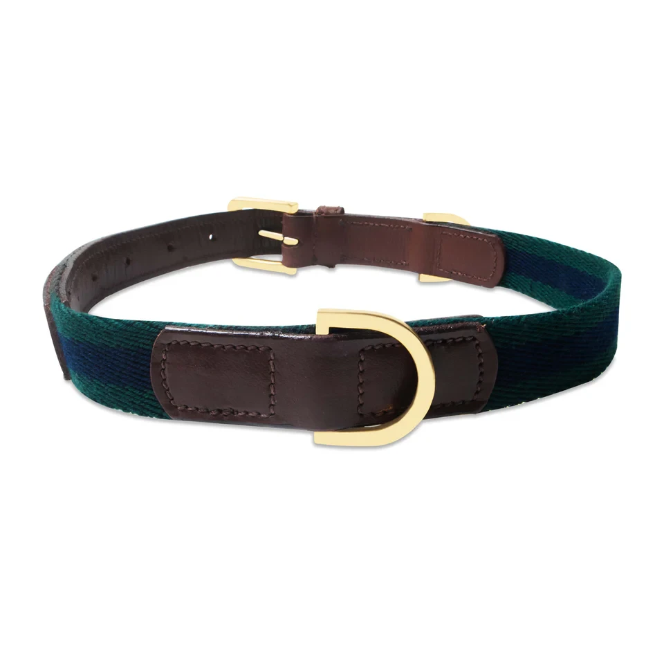 Luxury Leather Collars for Dogs: Where Comfort Meets Timeless Style