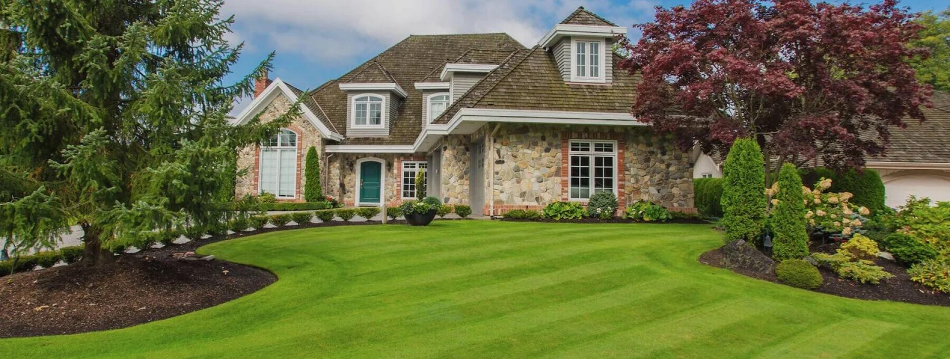 Why Lawn Clean Up Services Are Essential for a Healthier, Better Looking Yard