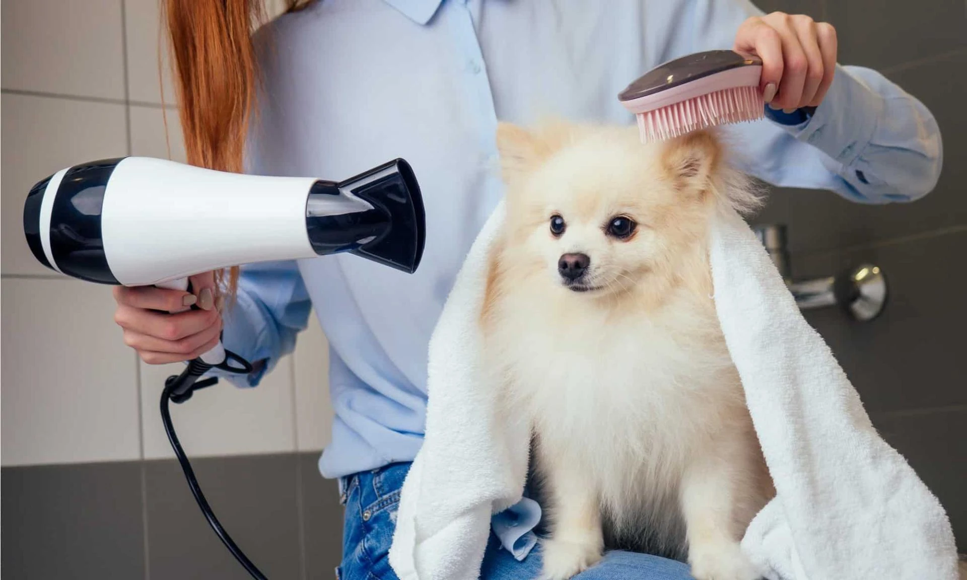 Essential Guide to Safe and Proper Dog Nail Care