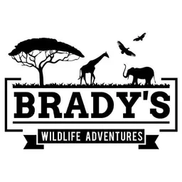 Explore the Ultimate Tanzania Luxury Safari Packages with Brady’s Wildlife Adventures