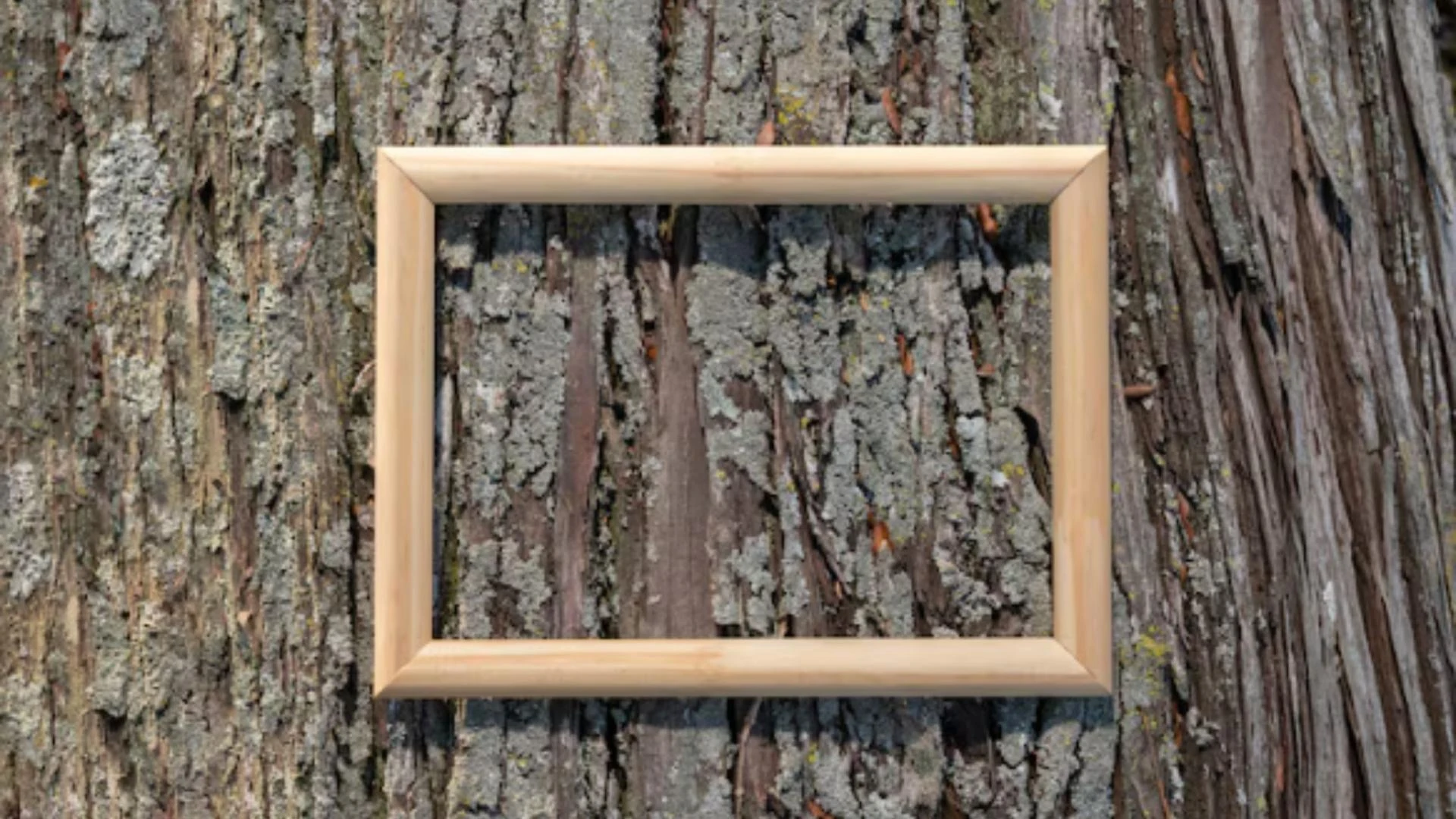 Rustic Natural Wood Frames: Where Nature Meets Elegant Design