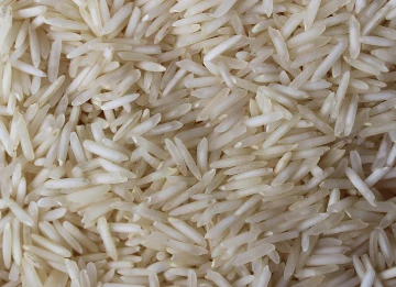 Rice Traders in India: Connecting Farms to International Markets