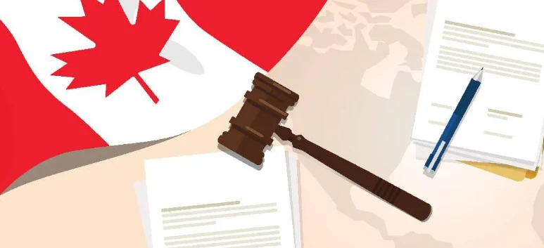 Complete Guide Explaining Role of Canada Immigration Experts Stepwise