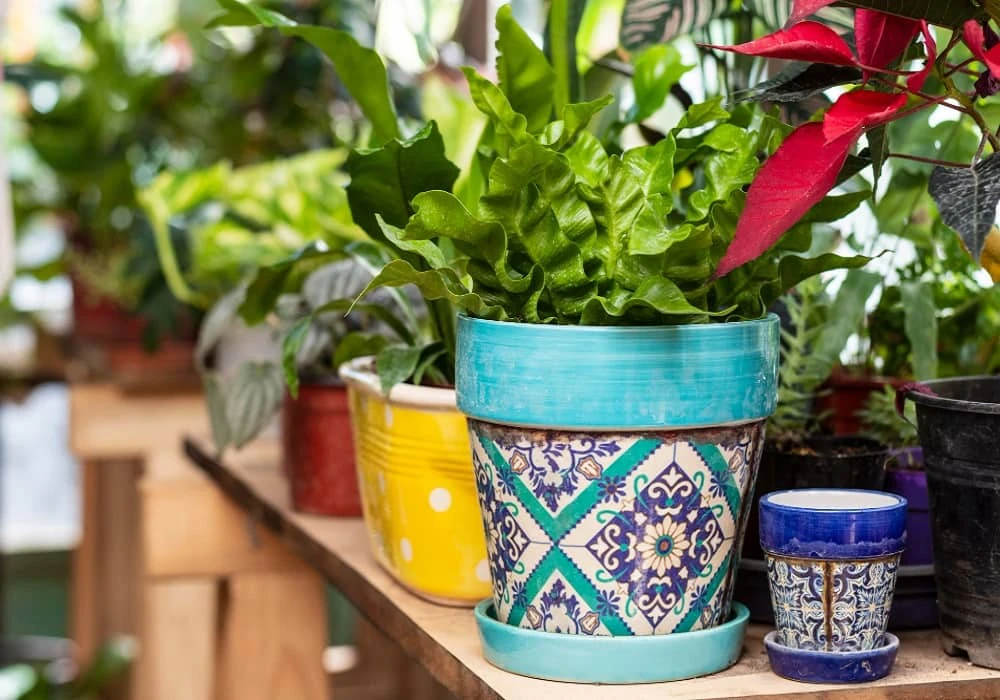 Seasonal Tips for Gardening at Home for Better Results