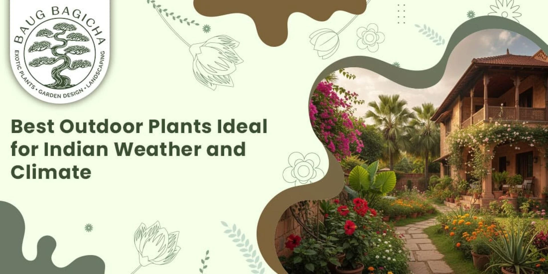 Best Outdoor Plants Ideal for Indian Weather and Climate