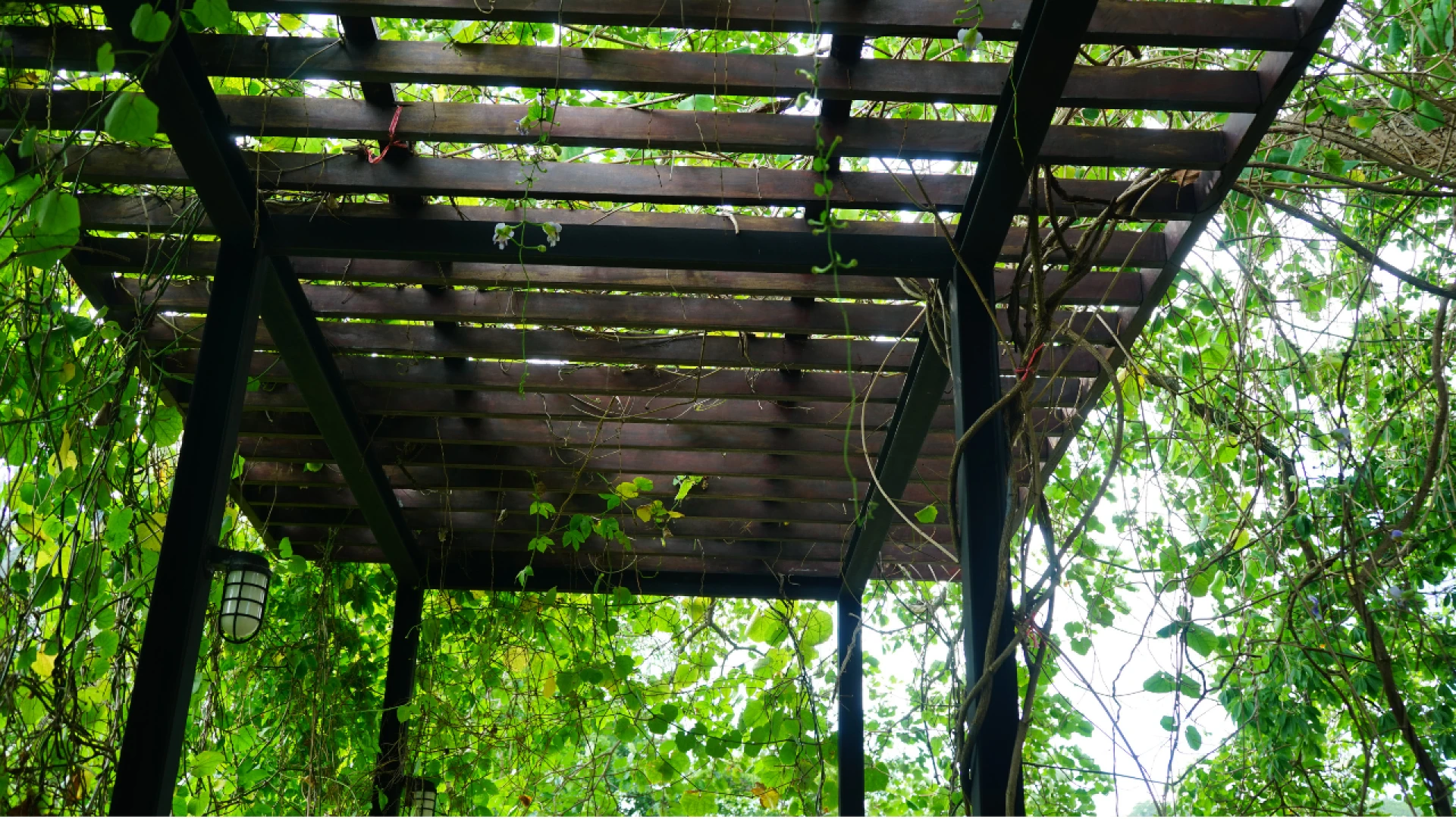 Ready-Made Sun Shading Louvers: Easy Shade Solutions