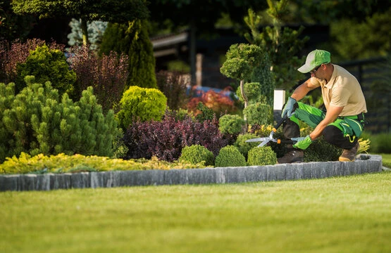 Give Your Home A Polished Look With All Seasons Landscaping & Lawn Care In Old Jefferson, LA 