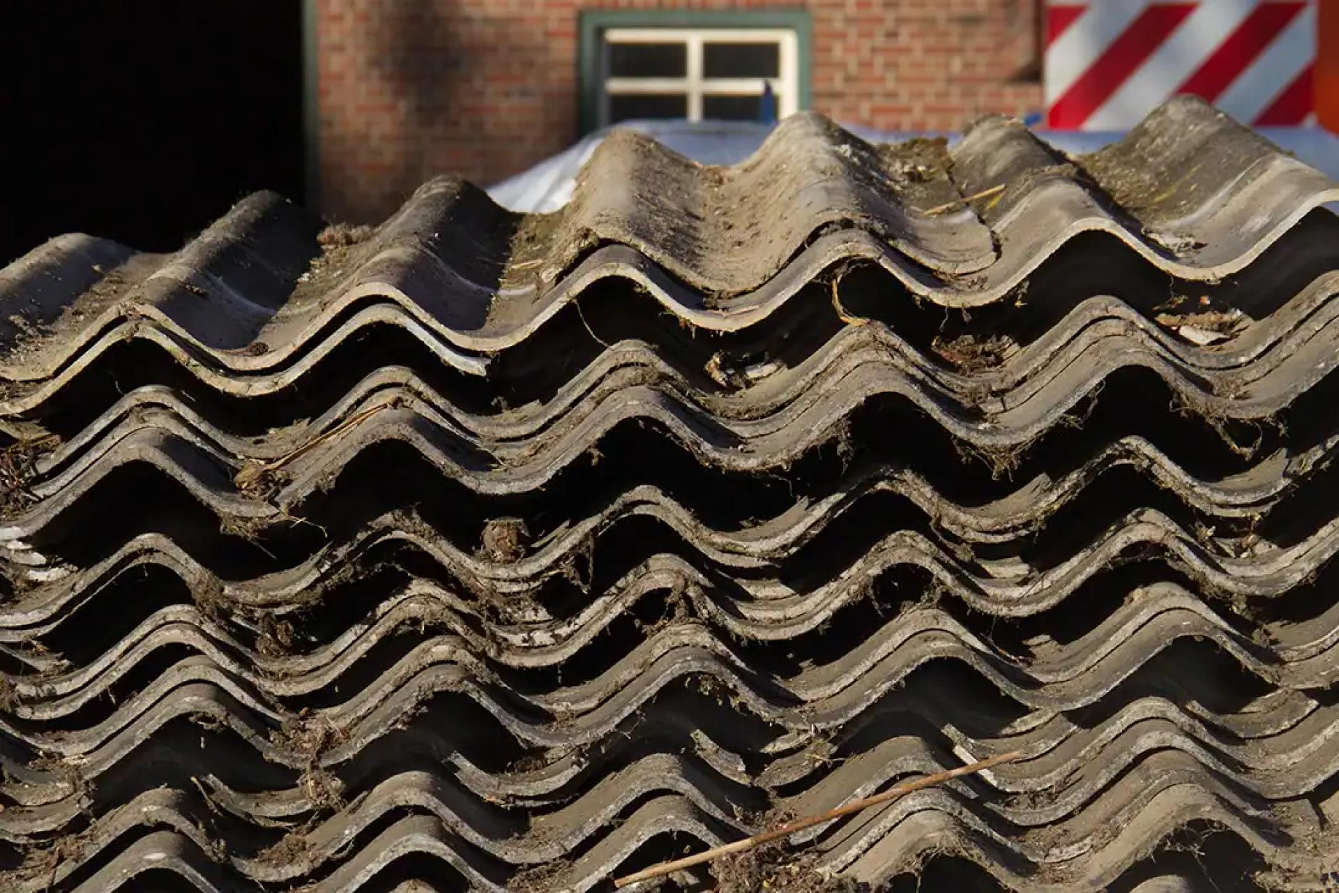 Planning a Renovation? Essential Asbestos Removal Tips to Ensure a Smooth and Hazard-Free Project