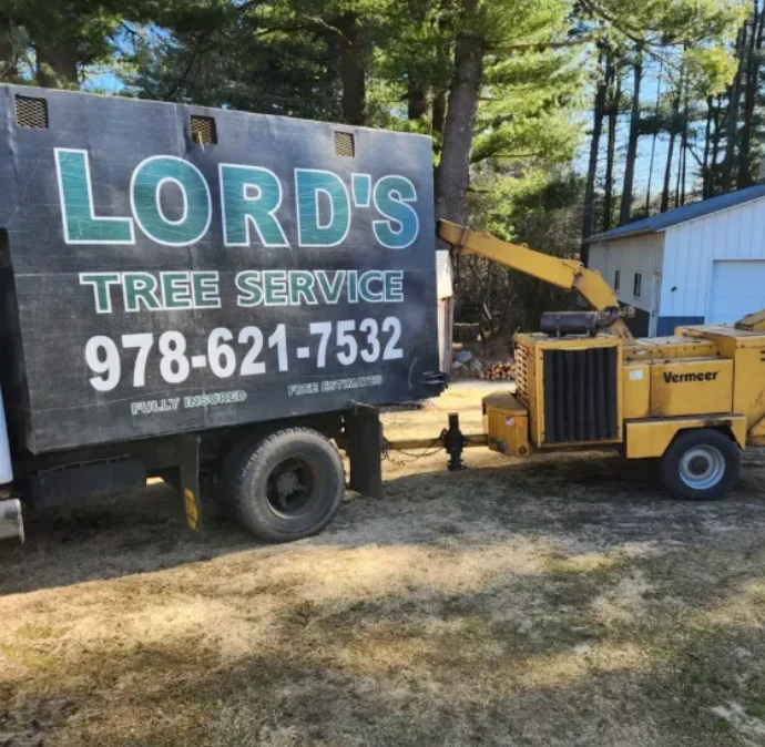 Billerica Tree Removal at Lord’s Tree Service LLC