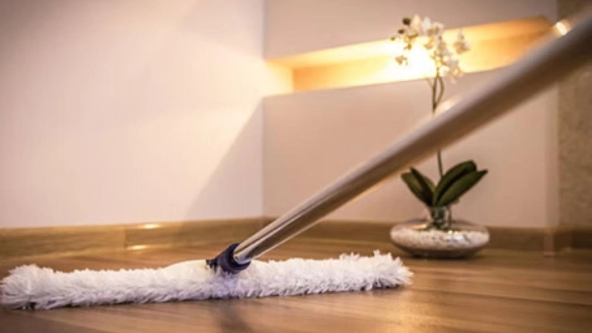 7 Ways a Portland Cleaning Company in Portland, Oregon Transforms Offices from Ordinary to Exceptional