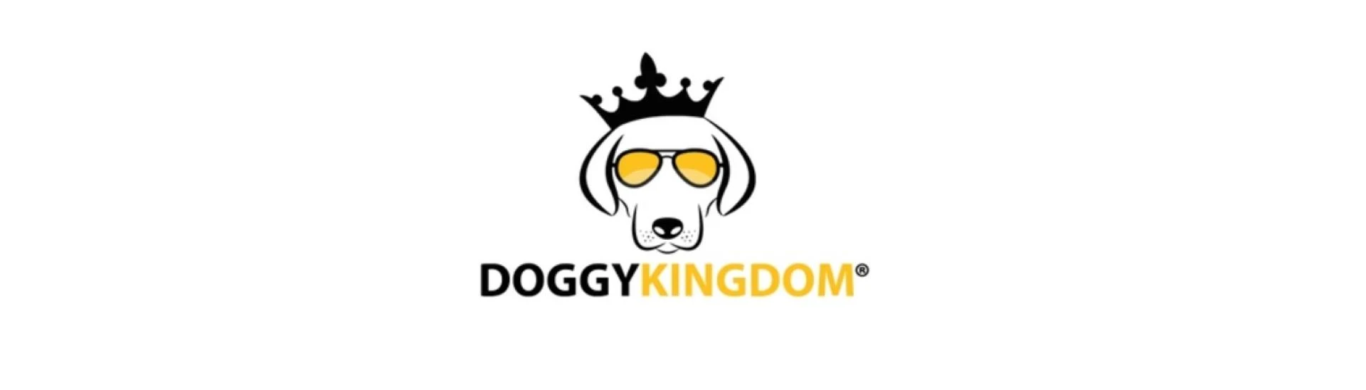 Stop Pulling Today With Smarter Dog Harness Solutions
