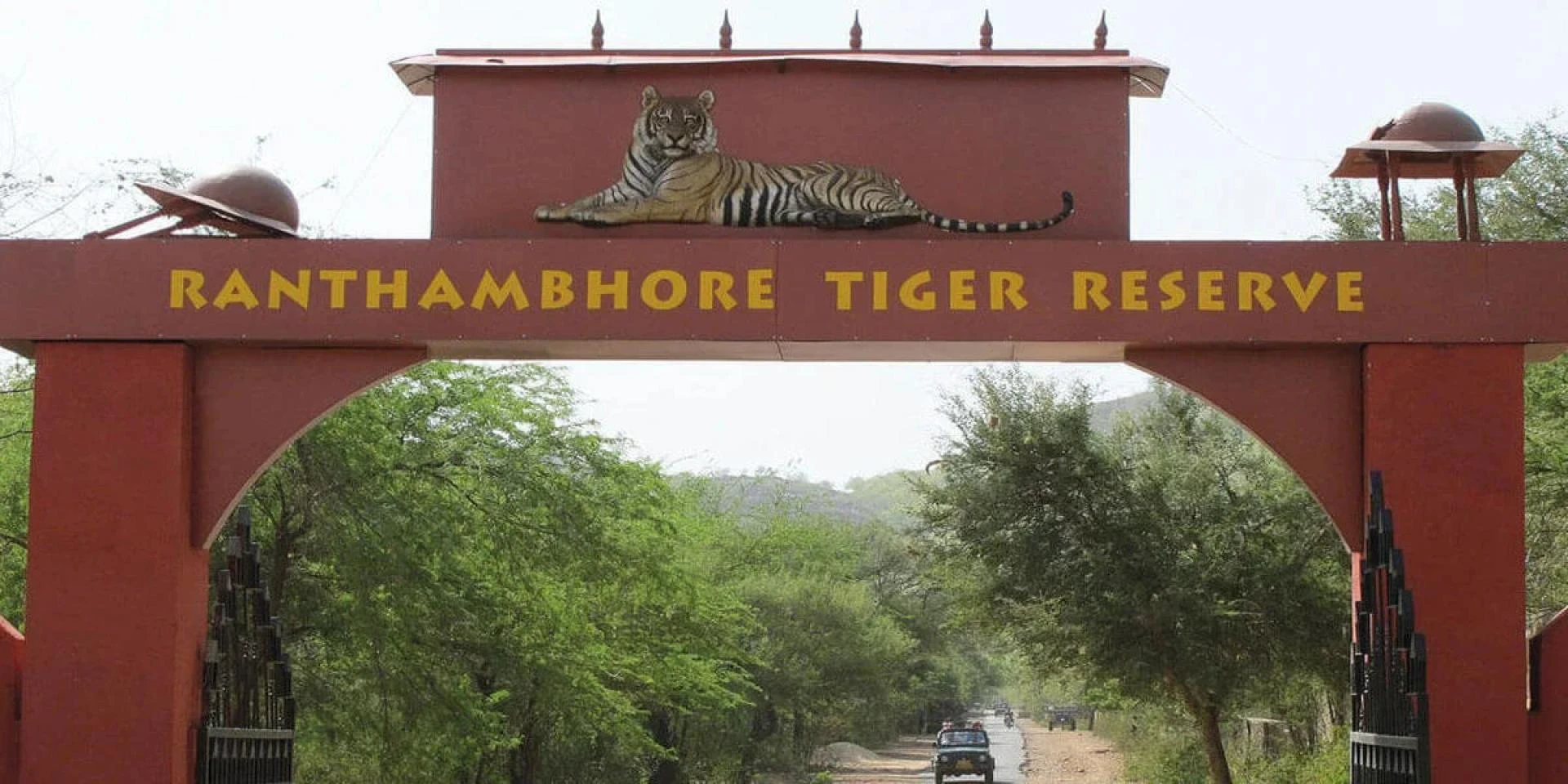 Chasing Stripes and Silence: Why Ranthambore is India’s Untamed Treasure
